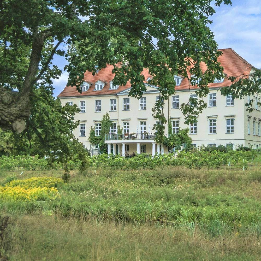 Schloss Rattey mit Wiese 2 Inselmühle Usedom (2) (1)