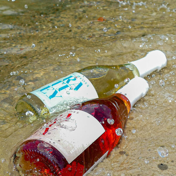 Inselmühle Usedom Ratteyer Secco 6.jpg