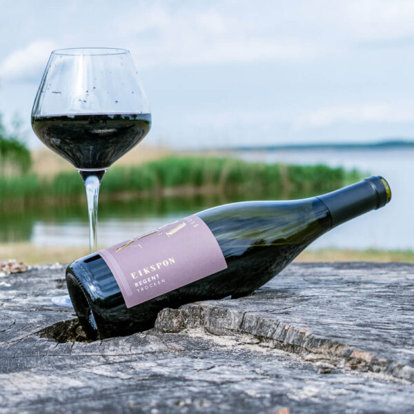 Inselmühle Usedom Wein Eikspon Regent trocken 2020 Schloss Rattey (3).jpg