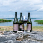 Inselmühle Usedom Rotwein Schloss Rattey Artikel.jpg