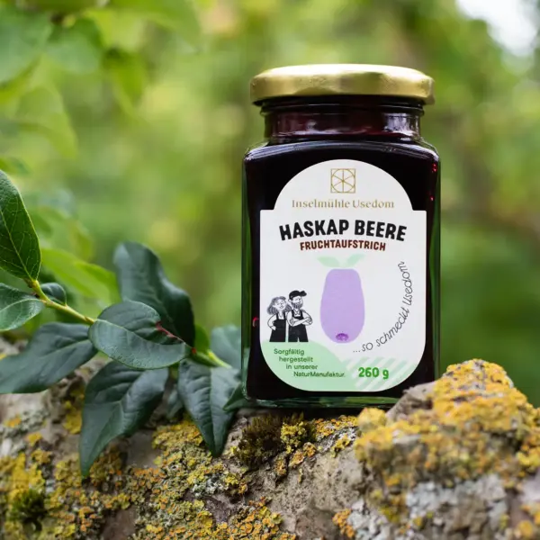 Glas Haskap Beere Fruchtaufstrich der Inselmühle Usedom mit 260 g auf einer Natursteinmauer vor grünem Hintergrund.